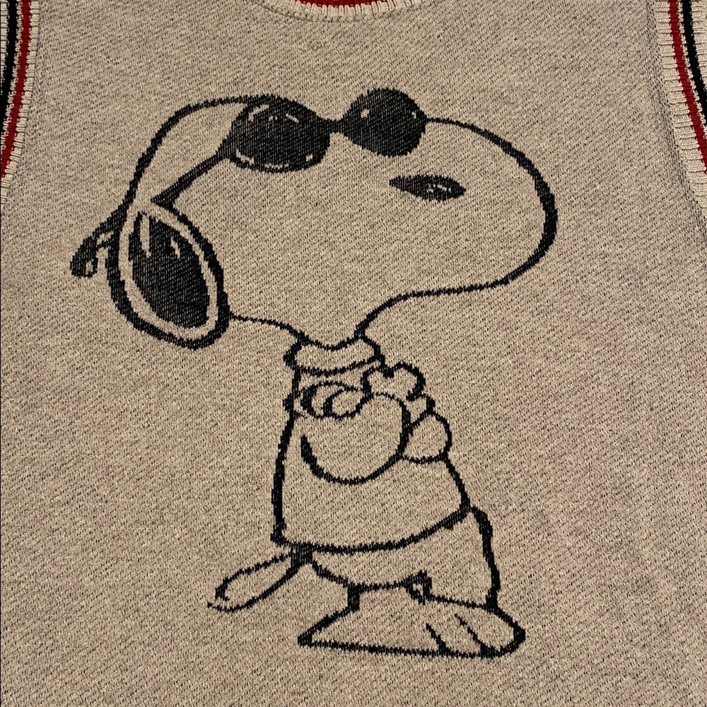Zara Snoopy oversized Sweater vest - Picture 11 of 11